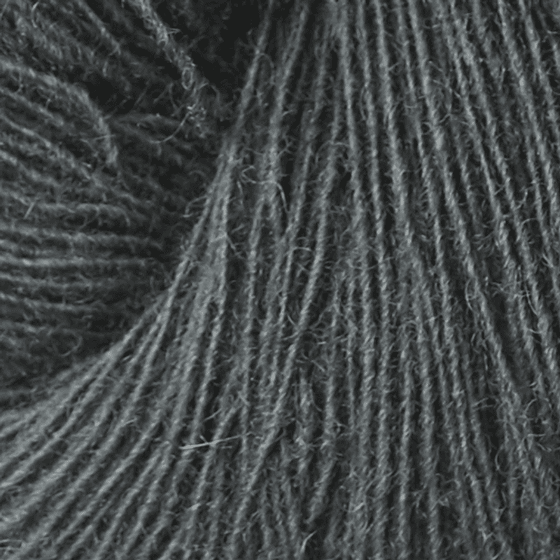 Isager Spinni (100g)